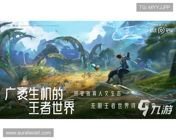 九游网游戏平台官网入口安全指南，保障玩家账号安全与游戏体验的实用技巧